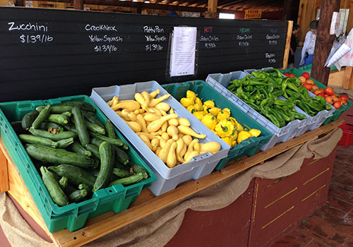 Pick-your-own zucchini, chilies, green beans and more from Apple Annie's Orchard, Farm and Country Store in Willcox, Arizona!